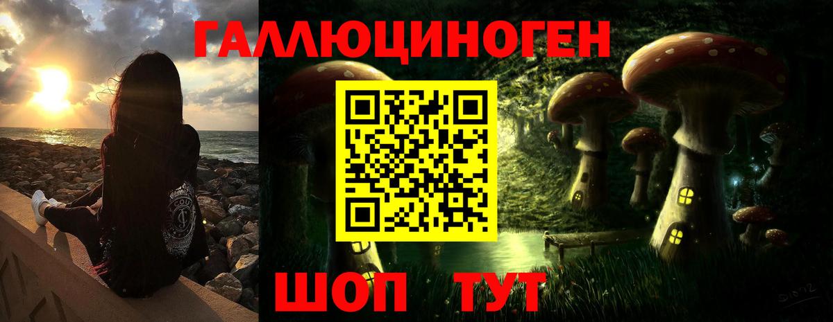 Галлюциногенные грибы Psilocybine cubensis  Галлюциногенные грибы Cubensis  Вход с VPN  Кубинка 